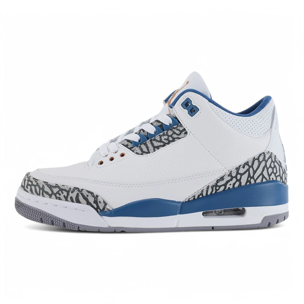 Air Jordan 3 Retro 'Washington Wizards'