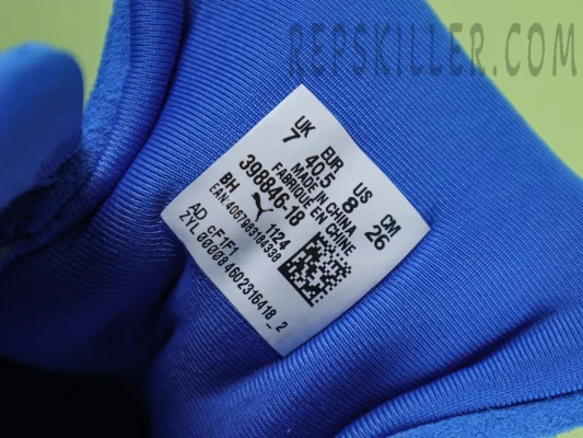 IMG_6502