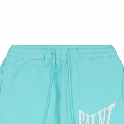 Belt Blue