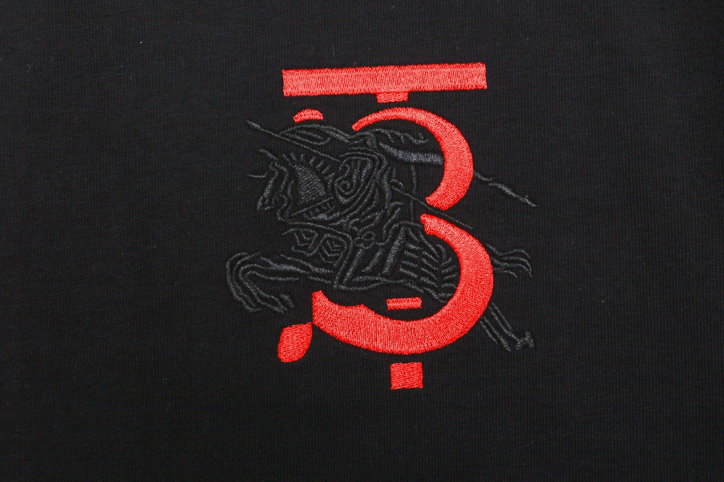 BBry BT Letter Knight Embroidery T-Shirt17.jpeg
