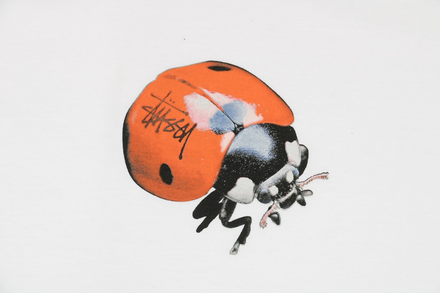 Stussy Ladybug Letter Graphic T-Shirt7.jpeg