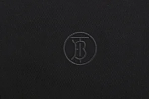 BT Logo