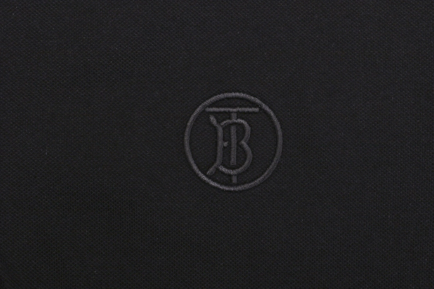 BT Logo