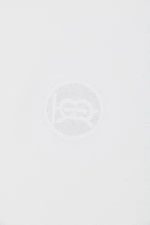BT Logo