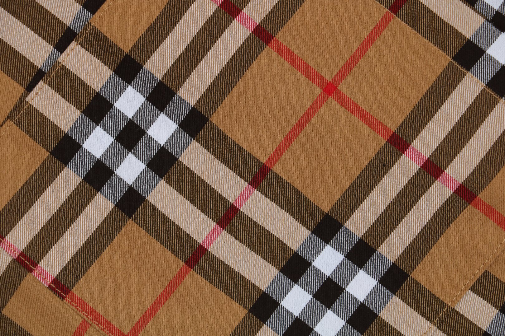 BBry Classic Check Drawstring Shorts5.jpeg