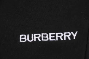 BBry Small Logo Letter Embroidered Shorts6.jpeg