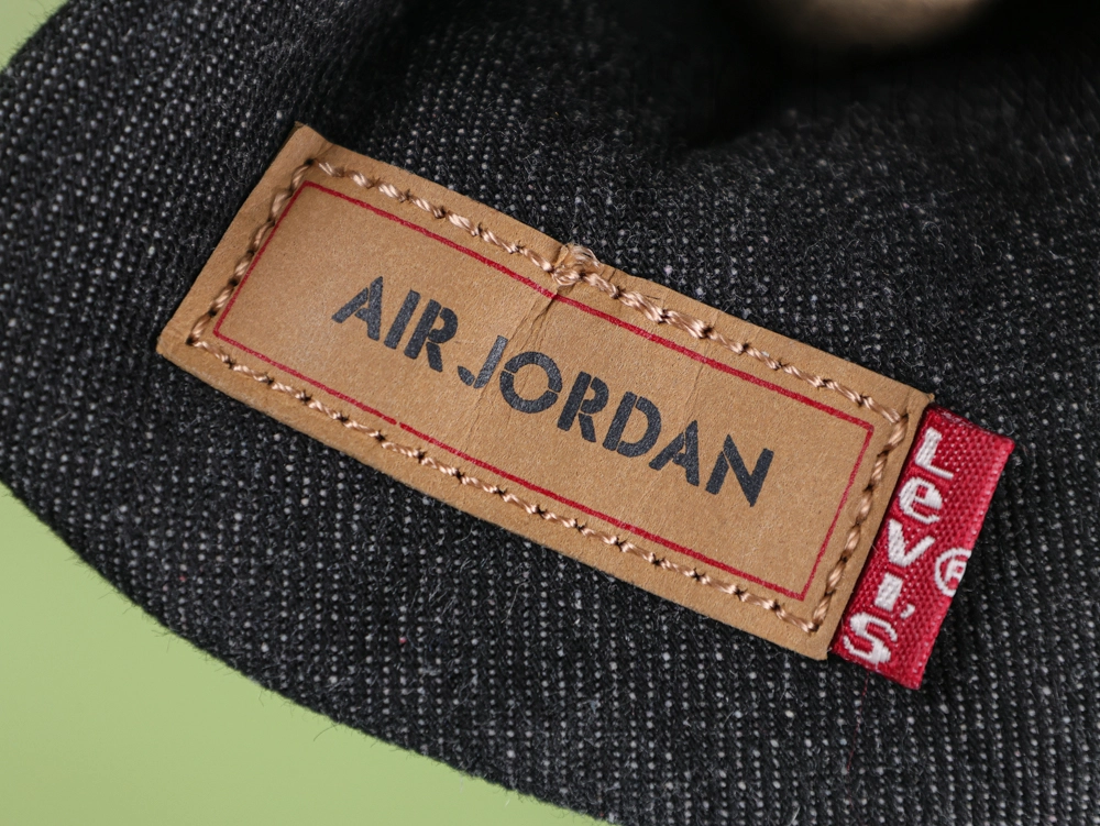 Air Jordan logo tag
