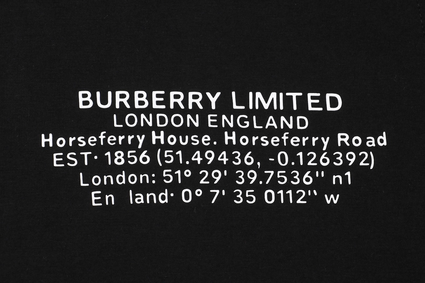 BBry Geocoordinates Rubber Print T-shirt16.jpeg