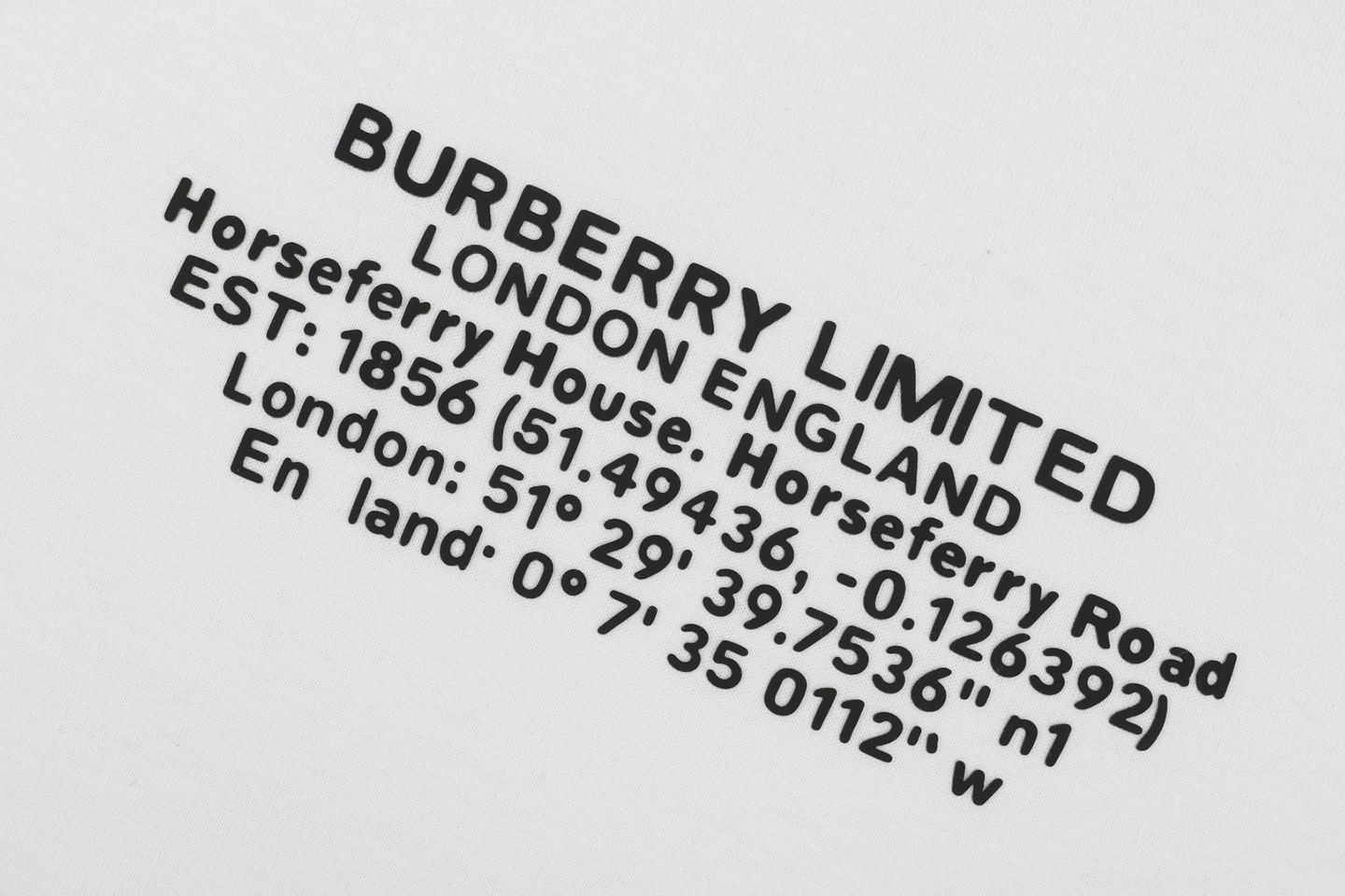 BBry Geocoordinates Rubber Print T-shirt7.jpeg