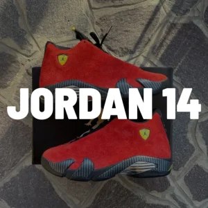 Jordan 14 Reps
