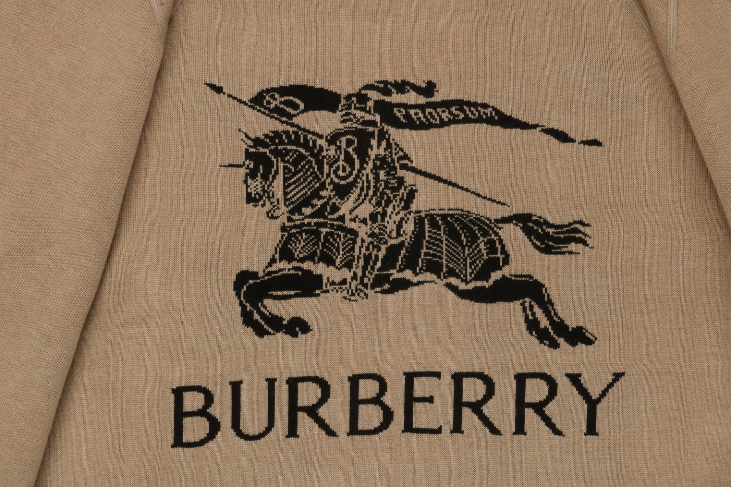 BBry Reversible Check & Knight Zip Hoodie18.jpeg