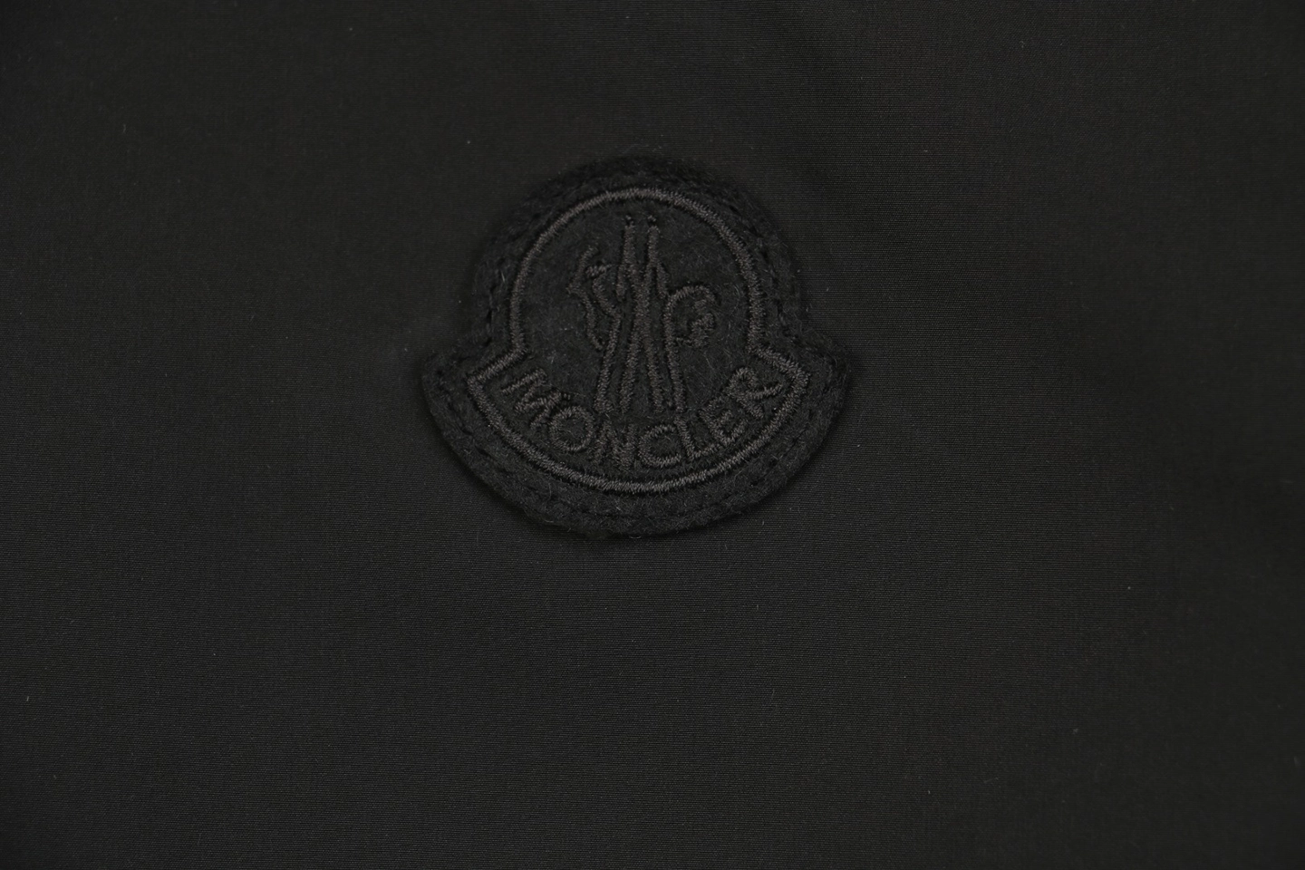 Moncler Cidone Reversible Down Jacket2.jpeg