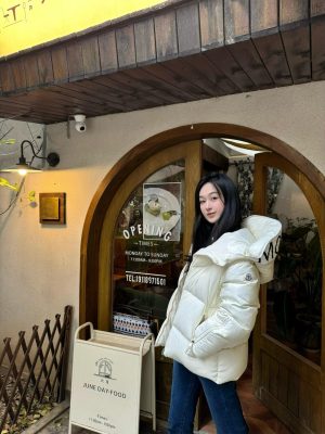 img_30bf4b5b_20251223_o_1jd3oqut91pr1buf835177iikec.jpeg