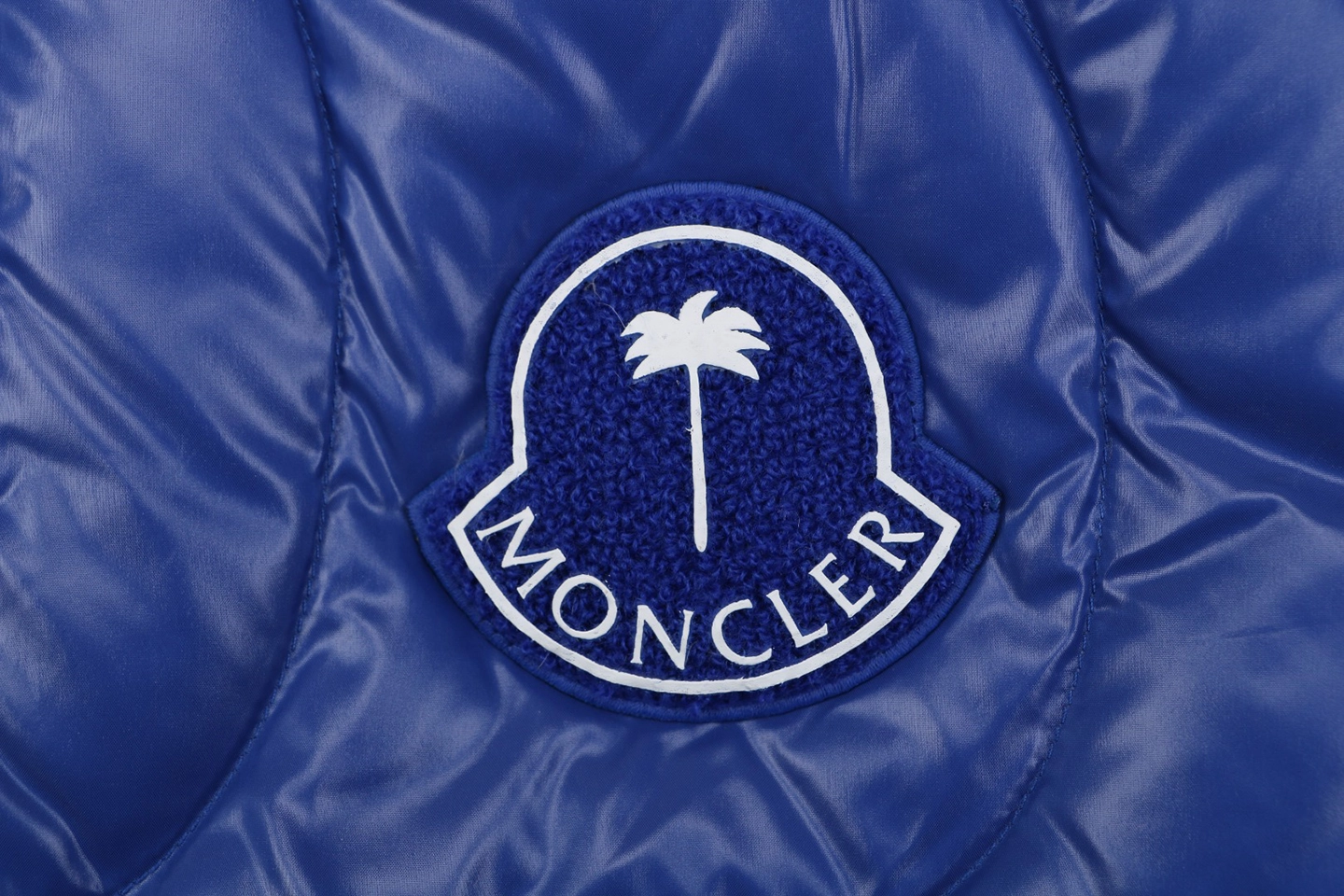 Moncler x Palm Angels Haunani Stand Collar Down Jacket Blue Brand label