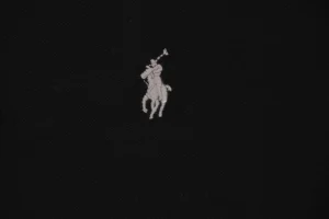 Ralph Lauren Classic Pony Embroidered Polo T-Shirt Brand