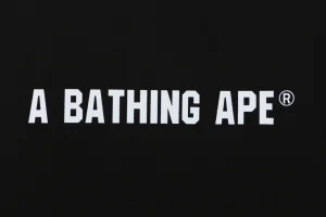 BAPE Busy Works Camo Ape Head T-Shirt Black Front Brand Print