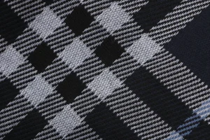 Burberry Check Jacquard Shorts1.jpeg
