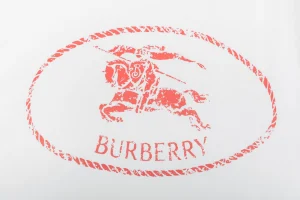 Burberry Equestrian Knight Logo T-Shirt White Front view