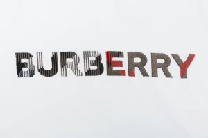 Burberry Stripe Logo Embroidered Oversized T-Shirt White Brand Print