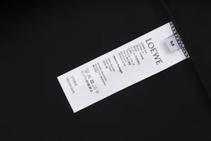 Loewe Multicolor Anagram & Script Embroidery T-Shirt Black Wash label