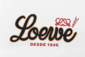 Loewe Script Logo Embroidered T-Shirt White Front Print