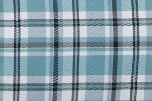 Acne Studios Blue Plaid Drawstring Shorts