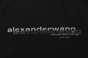 Alexander Wang Layered Logo Print T-Shirt Front Print