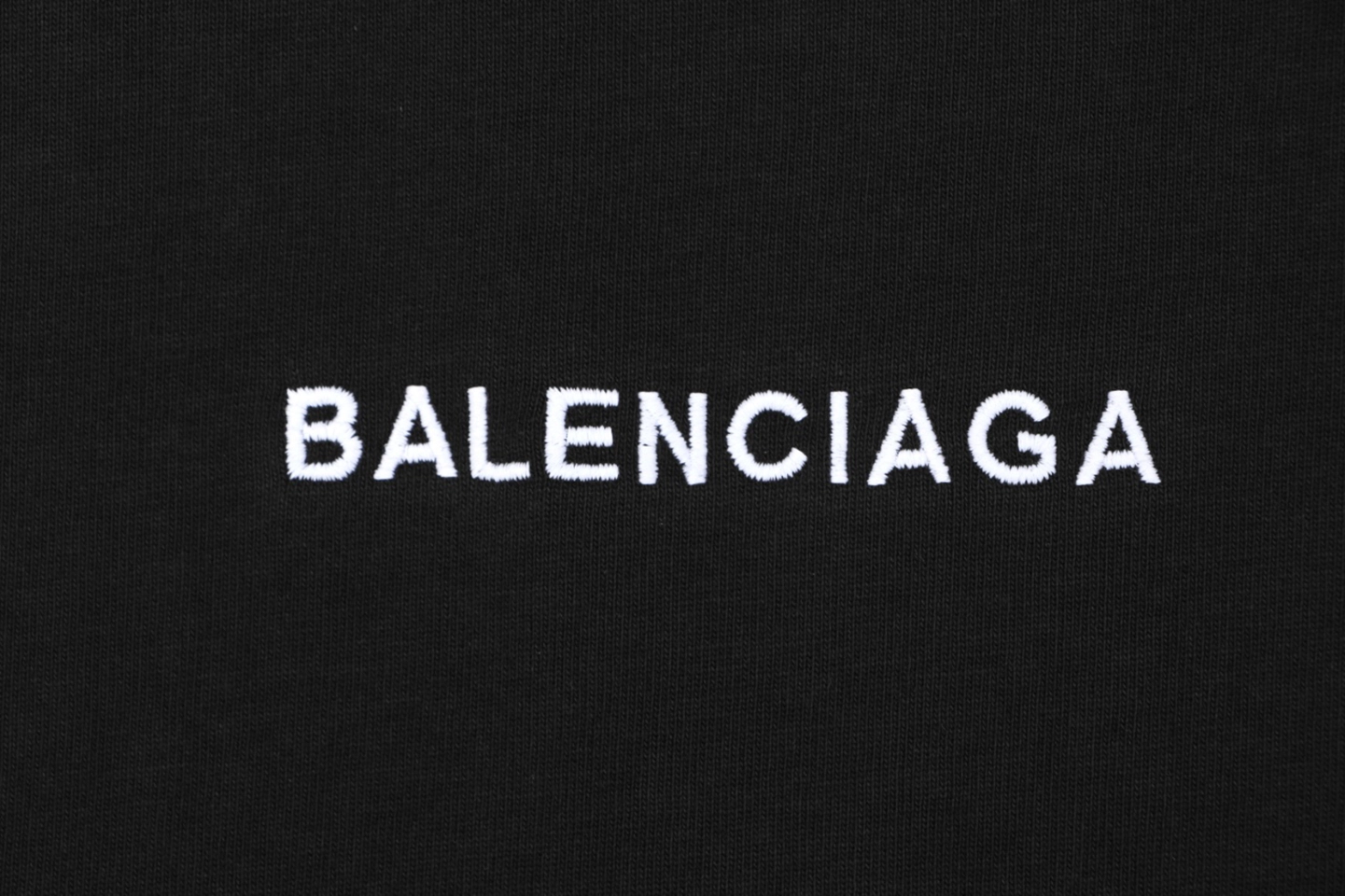 Balenciaga Double Lion Crest T-Shirt Brand Print