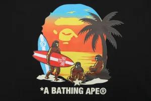 Bape Sunset Ape Head Graphic T-Shirt Black Front Print