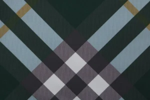 Burberry Diagonal Check Mesh-Lined Nylon Shorts Green