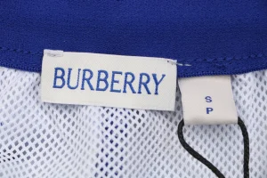 Burberry Diagonal Check Mesh-Lined Nylon Shorts Blue Brand label