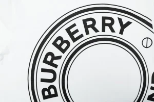 Burberry Oversized Circle Logo Print T-Shirt White Front Print