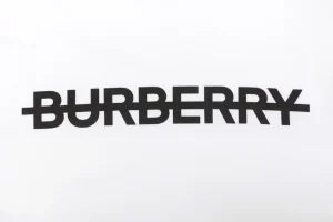 Burberry Strike Logo Print T-Shirt White Front Print