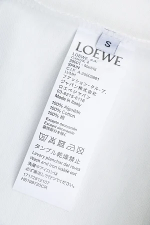 Loewe Multicolor Embroidered Anagram T-Shirt White Wash label