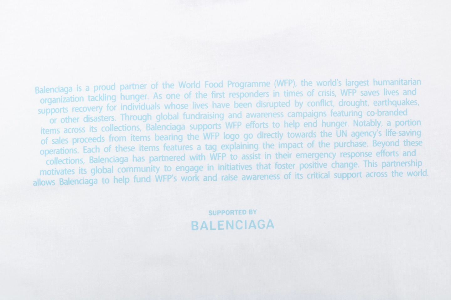 Balenciaga WFP Logo Print T-Shirt Back view