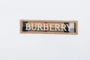 Burberry Check Sleeve Logo Embroidered T-Shirt White Brand