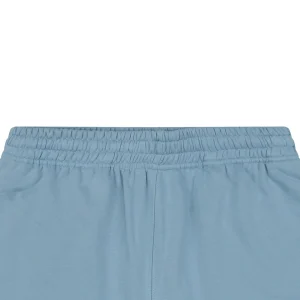 Burberry Equestrian Knight Signature Embroidered Shorts Blue