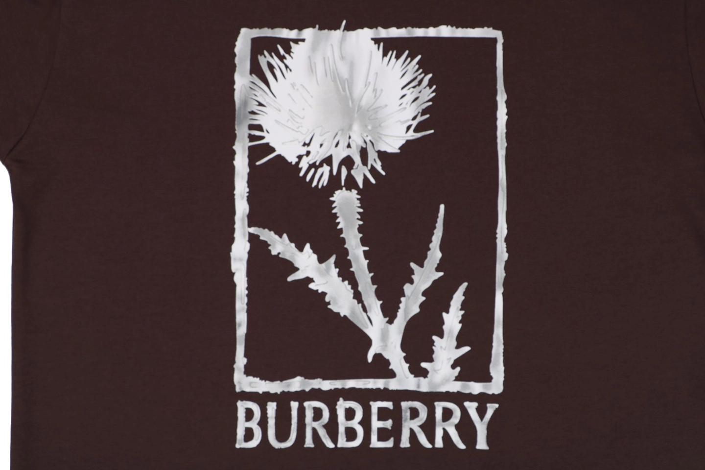 Burberry Thistle Logo Print T-Shirt Brown Front Print