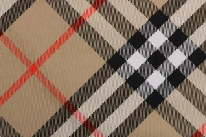 Burberry Vintage Check Drawstring Shorts Brown