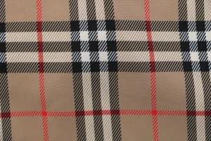 Burberry Vintage Check Lined Shorts