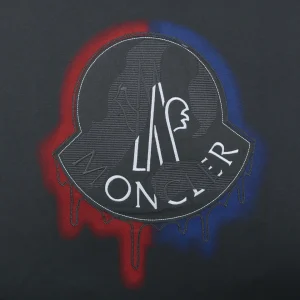 Moncler Red & Blue Gradient Embroidered Logo T-Shirt Grey Back Print