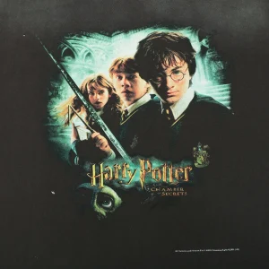 Saint Michael x Harry Potter “Chamber of Secrets” Vintage Washed T-Shirt Front Print
