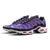 Air Max Plus OG 'Voltage Purple' 2024