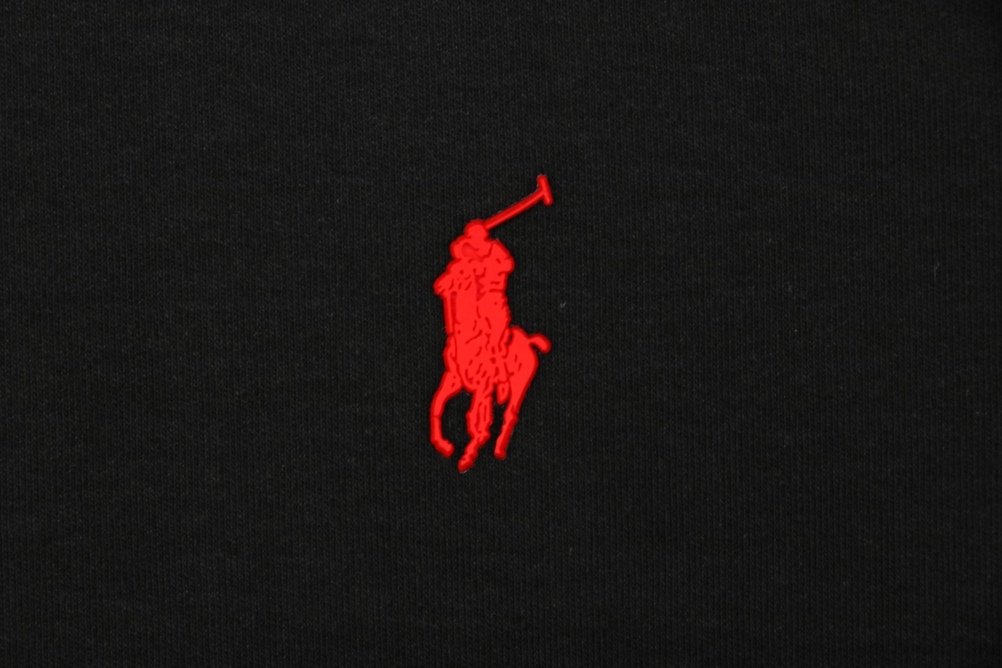 Ralph Lauren Pony Logo Embroidered Shirt18.jpeg